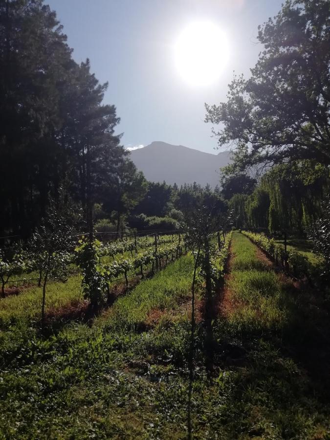 Cabernet Cottage Be Still And Know Franschhoek Exterior foto