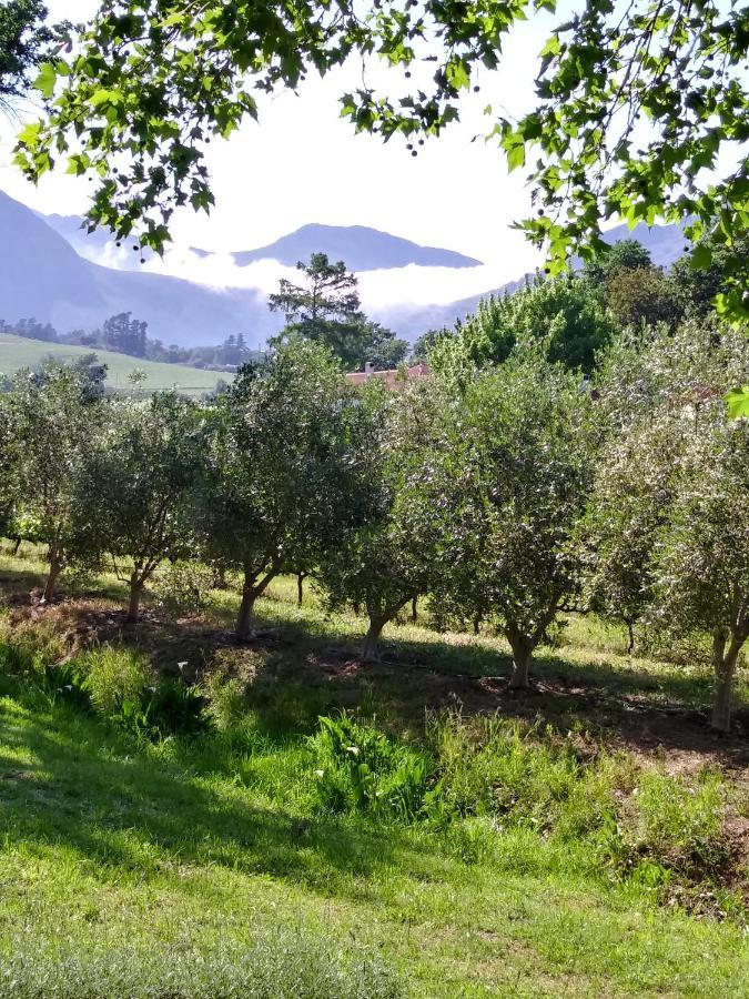 Cabernet Cottage Be Still And Know Franschhoek Exterior foto